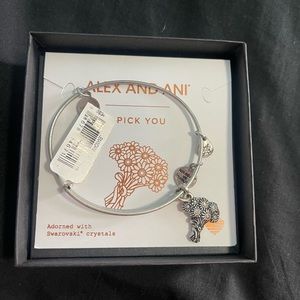 alex and ani bracelet